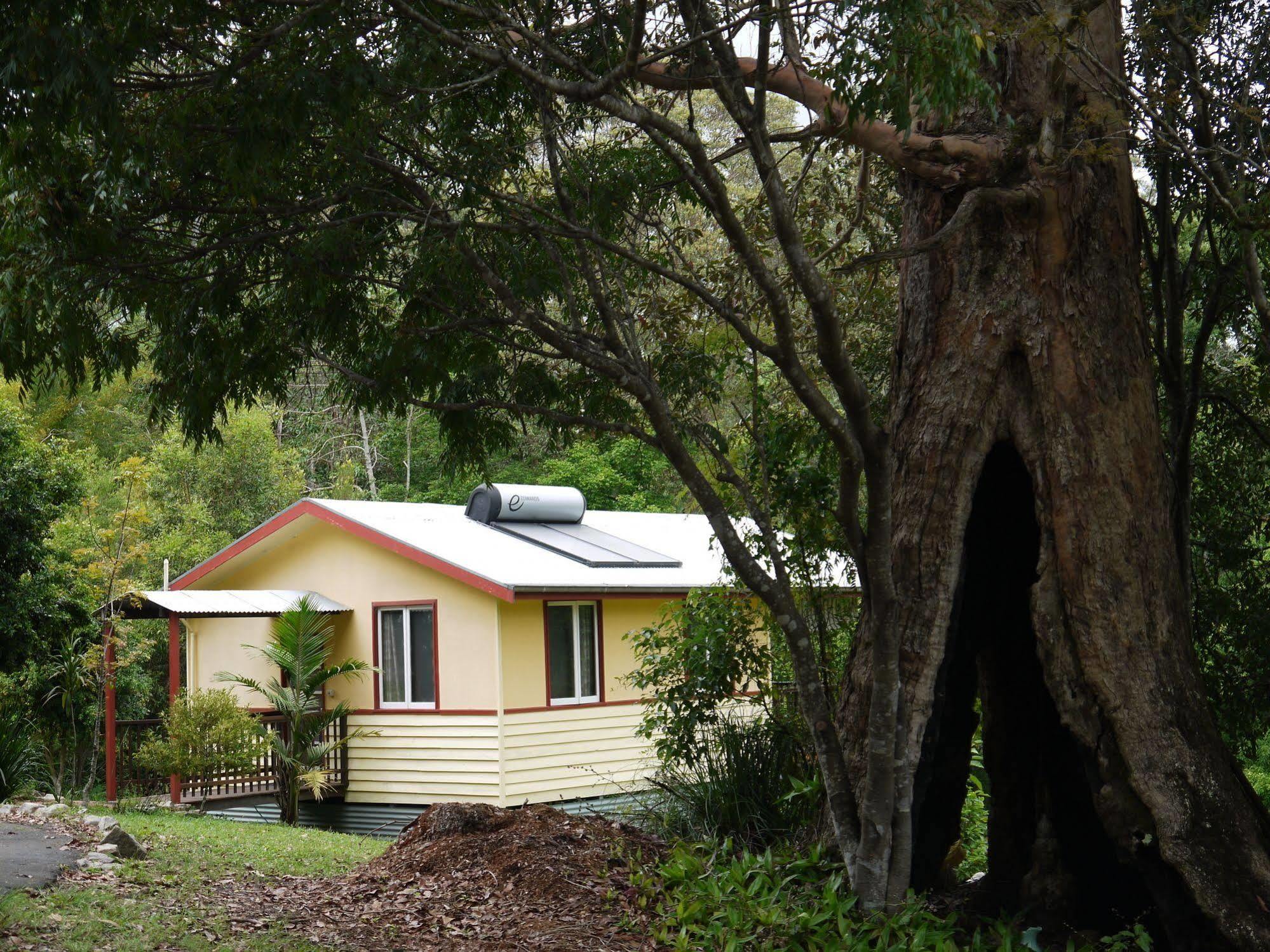 Teretre Cabins Nimbin Villa Eksteriør bilde
